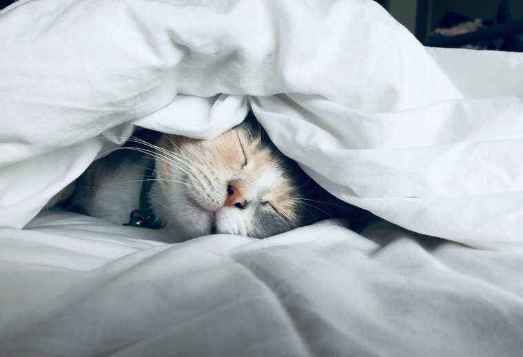 [Андрей Ткаченко] Здоровый сон (2021)_0.png